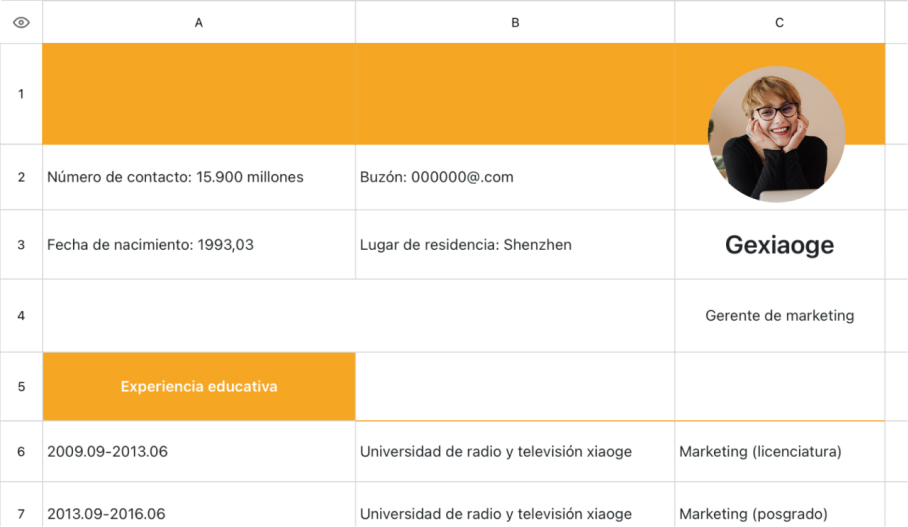 Currículum del gerente de marketing